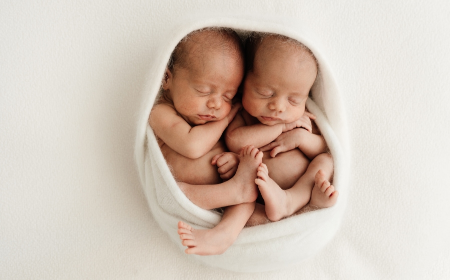 Linzie Russo portfolio image 8