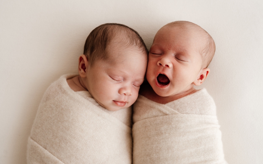 Linzie Russo portfolio image 3