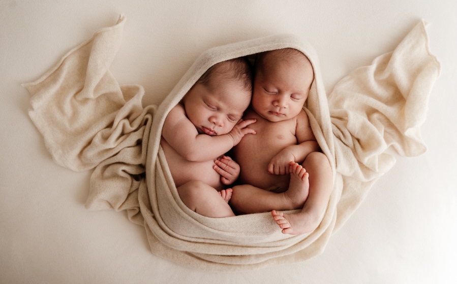 Linzie Russo portfolio image 4