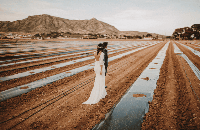 パブロ ベグレス portfolio image 3