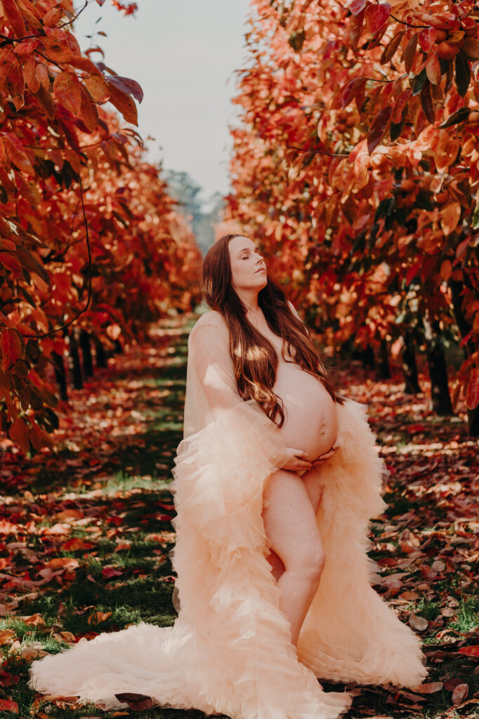 abraçando a ia na fotografia