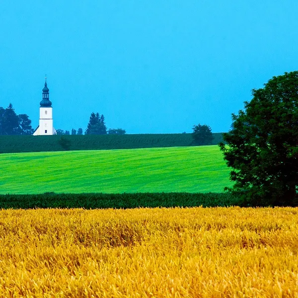 Häufige Fotobearbeitungsfehler: Übersättigung Häufige Fotobearbeitungsfehler: Übersättigung;