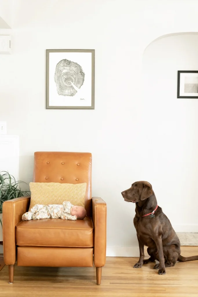 ロレンツ新生児74 by Dionel Lake - AIソフトウェアを使用したカリング